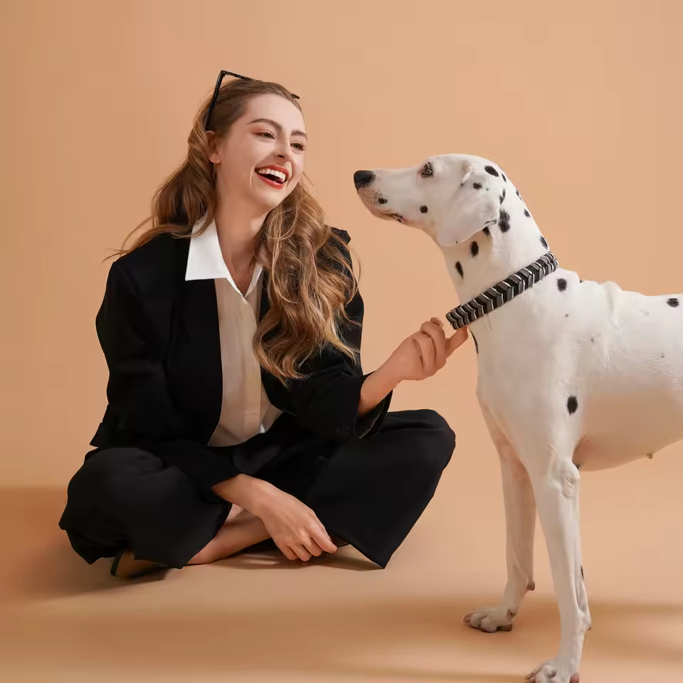 Handmade Adjustable Dog & Cat Collar