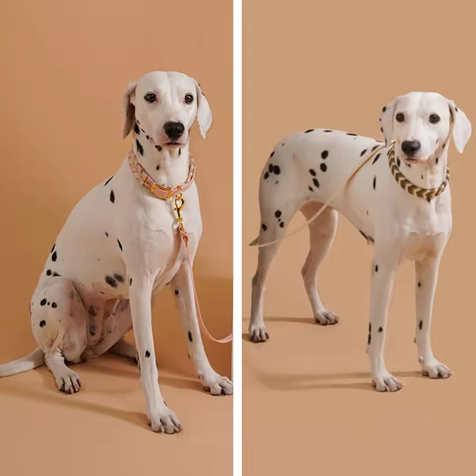 Handmade Adjustable Dog & Cat Collar